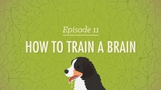 How to Train a Brain: Crash Course Psychology #11
