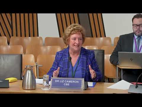 COVID-19 Recovery Committee - 17 November 2022