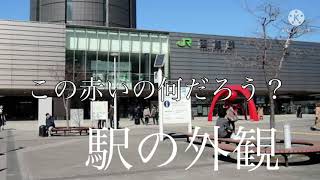 #狂気のブログ　函館を旅してきました！