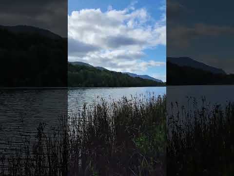 La Laguna Negra de Curacautín. Es un atractivo natural ubicado en la Región de La Araucanía, Chile.