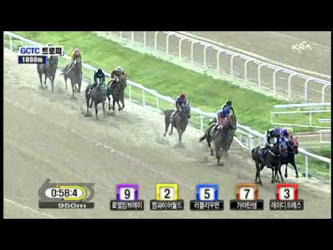 2011 GCTC Trophy - Dongbangmiin