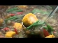 Iklan Sajiku Sayur Asem