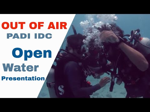 Running Out of Air Scuba Diving • Panic Diver - PADI Rescue Exercise 4