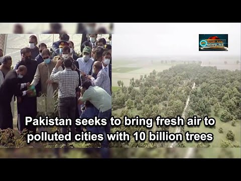 Pakistan seeks to bring fresh air to polluted cities with 10 billion trees