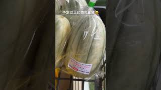 メロン・マクワウリ収穫出荷