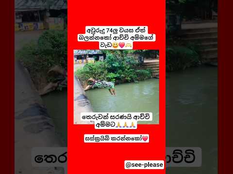 වයස කියන්නේ ඉලක්කමක්😃🙏❤️#shorts #trending #srilanka #automobile#100kview#achchi #bollywood#remix#dj