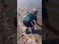 Video Thumbnail for Catch and Release #shorts #fishing #like #subscribe #follow #short