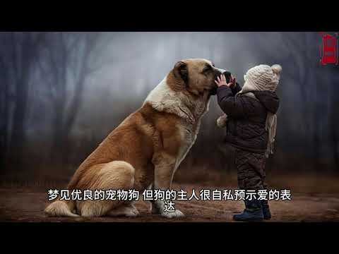 夢見狗來我家