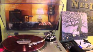 BONUS VIDEO, J Mascis &quot;Heal The Star&quot;