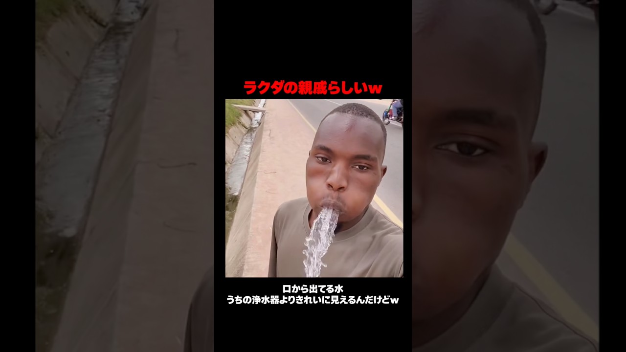 ラクダの親戚らしいｗ