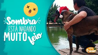 SOMBRA ESTA NADANDO MUITO FEIO!