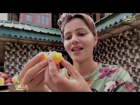 rubina dilaik showing fresh fruits from himachal | rubinav | bigg boss 14