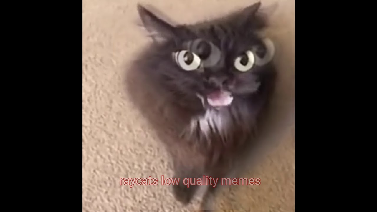 Maxwell NO  I have a Twitter now.