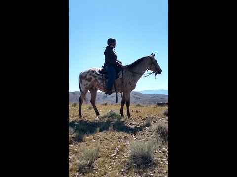 Tallulah tells about going to Uni after HorseWorks!