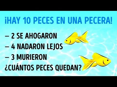 Tienes Unos Pocos Segundos, ¿Cuántos Acertijos Resolverás?