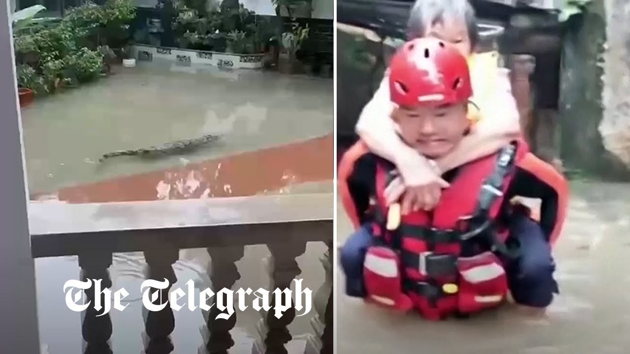 Watch: More than 70 escaped crocodiles lurk in Chinese flood waters after typhoon - Vimarsana News
