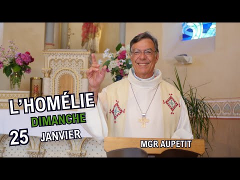 Homily of Bishop Aupetit, January 25, 2026