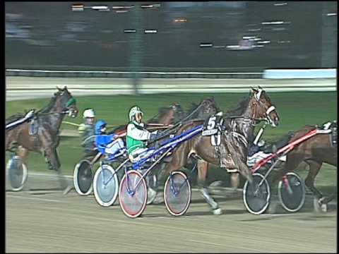 Trotto 18/11/2016 - 5ª corsa