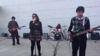 Californian Dog Walker- Downtown Jerusalem