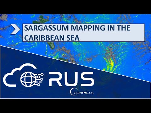 RUS Webinar: Sargassum Mapping in the Caribbean Sea - OCEA08