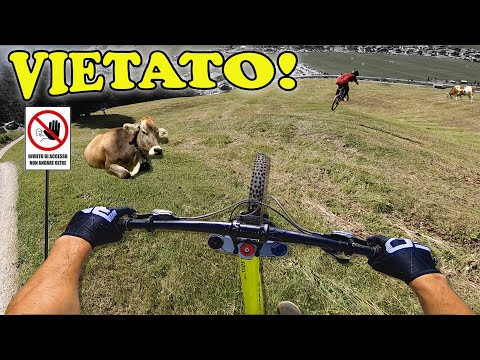 UN FREERIDE SUPER ILLEGALE!!!