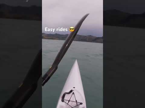 Easy rides #paddling #ocean #harbour