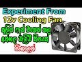 Experiment From 12v Cooling Fan / Electronic Lokaya