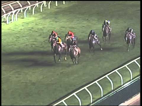 Galoppo 23/01/2015 - 5° corsa