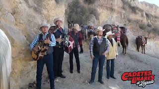 Pepito y su Caballo Los Cadetes de Linares el Legado de Lupe Tijerina el bayo cara blanca