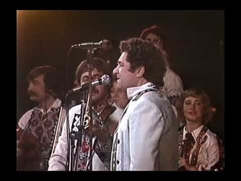 Nicolae Sulac - Mă dusei la horă-n sat (1982)