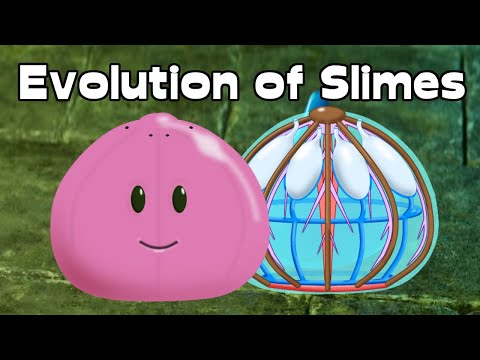 Speculative Evolution of Slimes | Alien Analysis