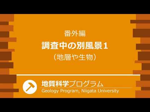 工学科 さあ、バーチャルフィールドワークへ！（2020年度オープンキャンパス公開動画）