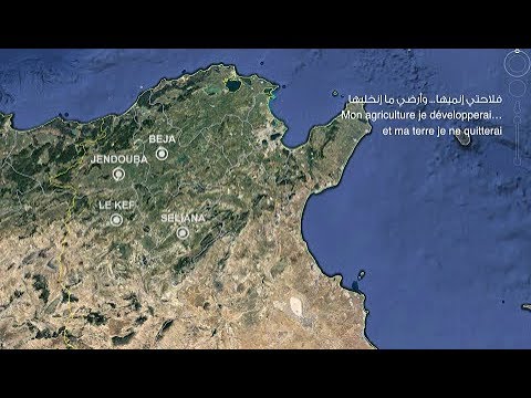 Alternatives à la migration pour les jeunes ruraux en Tunisie