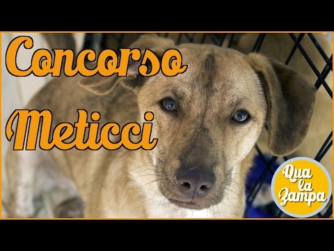 La terapia esercizio per lartrosi del ginocchio e dellanca La riabilitazione del ginocchio è