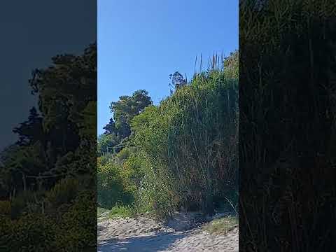 Balneario Kiyu San Jose Uruguay