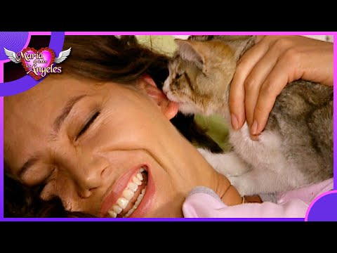 El gato de doña Juana se come el pez de Albertano | María de Todos los Ángeles 1/4 | C12 - T1
