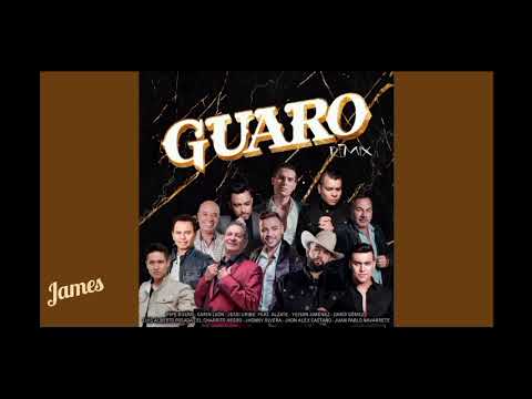 Guaro Remix