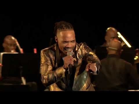 Barbados Calypso Music" WATER STREET BOYZ Quon - Animal Kingdom (Crop Over 2022) LIVE