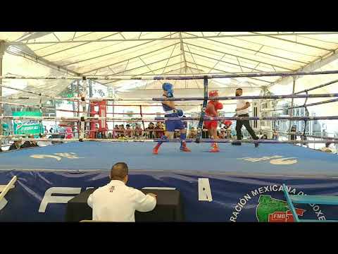 3er. Programa, Finales del Campeonato Regional (VI).