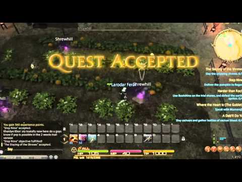 Let's play Final Fantasy XIV: A Realm Reborn - 1 / 2 Pugilist Class