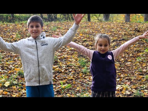 Drazsé // Kis falevél