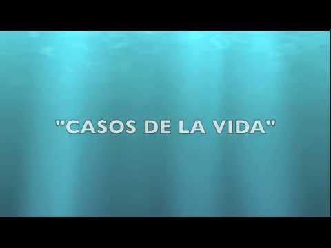 RUINA NUEVA - CASOS DE LA VIDA