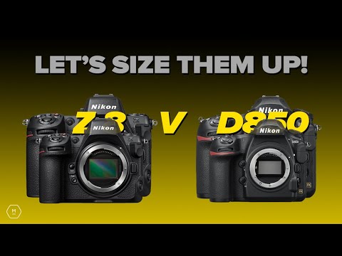 Z8 Vs D850 | Detailed First Look At How These Two Cameras Compare | Matt Irwin