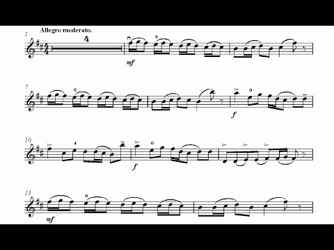 Oscar Rieding Violin Concerto in B minor op. 35 - 3. Allegro moderato - Orchestral Accompaniment