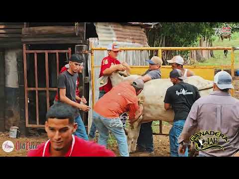 Cumpleaños de José Alexis Banda, celebrado en Los Pozos de Herrera 18 de julio 2026