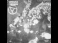 Conflict - Punk Innit?