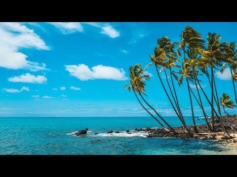 Caribbean Beach Jazz 24/7🌴Relaxing Tropical Music & Bossa Nova with Ocean Waves Sounds for Good Mood