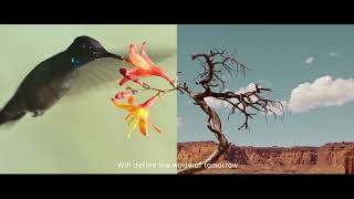 مبادرتي السعودية الخضراء والشرق الأوسط الأخضر: من الطموح إلى العمل