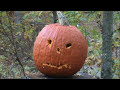 Carving Pumpkin With Gun (ayeron 2010) - Známka: 3, váha: střední