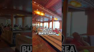 Buffer Area #cruise #cruisetour #cruiseship #carnivalsplendor #travel #travelvlog